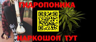 Альфа ПВП Гатчина
