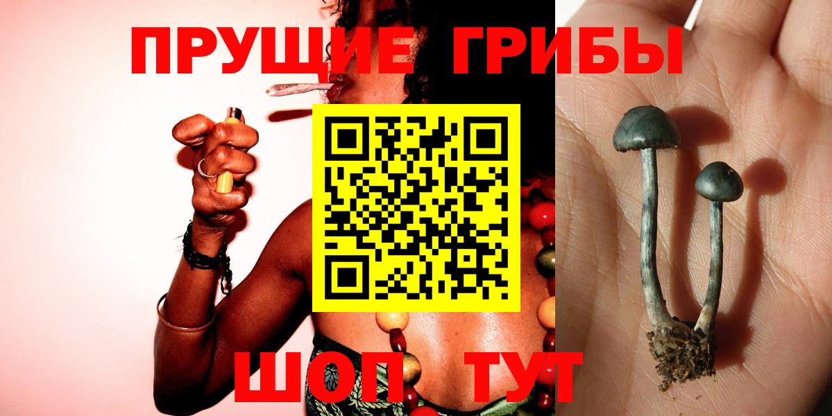 Псилоцибиновые грибы мицелий Можга