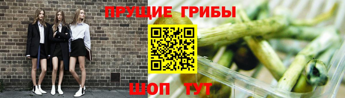 Галлюциногенные грибы Psilocybine cubensis  Вход с VPN  Галлюциногенные грибы MAGIC MUSHROOMS  Можга 